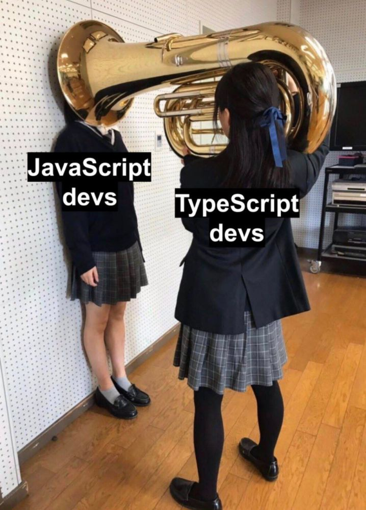 Typescript는 Javascript의 Superset 언어입니다.