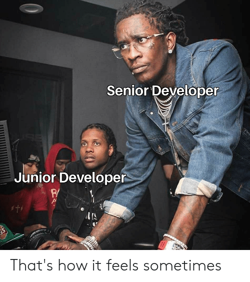 senior_developer_junior_developer